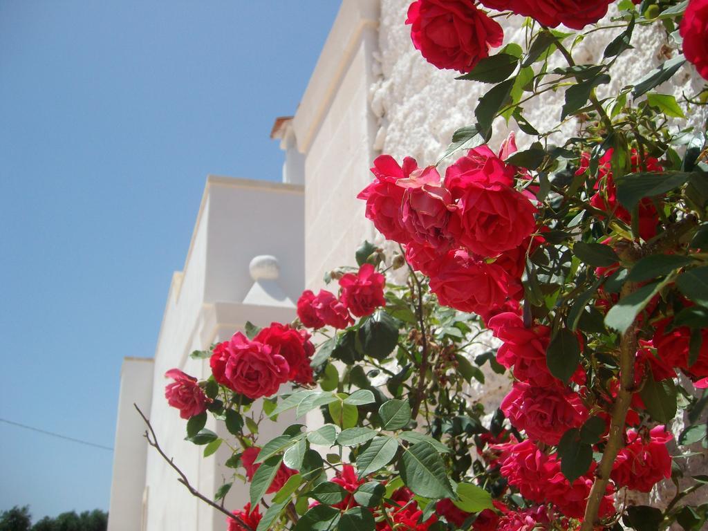 Masseria Nuova Casa de hóspedes San Marzano di San Giuseppe Exterior foto