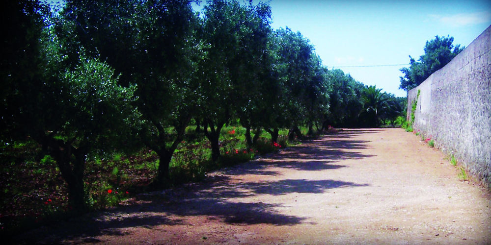 Masseria Nuova Casa de hóspedes San Marzano di San Giuseppe Exterior foto